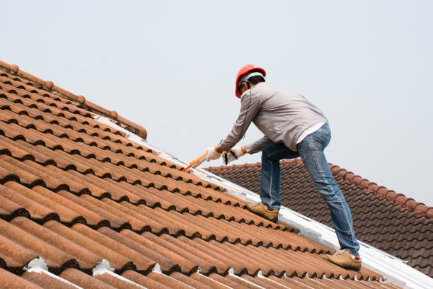 Best Cold Roofs  in Susan Moore, AL