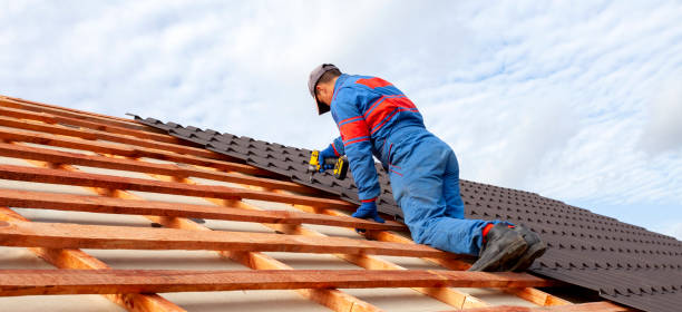Best Roof Moss and Algae Removal  in Susan Moore, AL